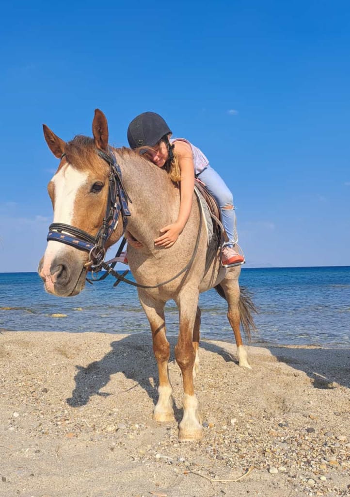 kardamenahorseriding beach ride image 2