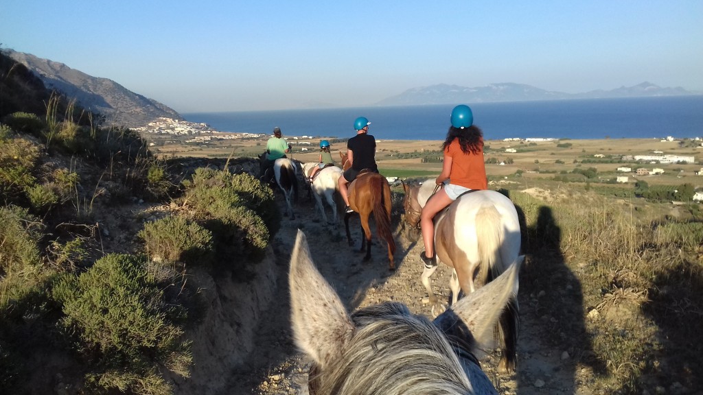 kardamenahorseriding home page image 11