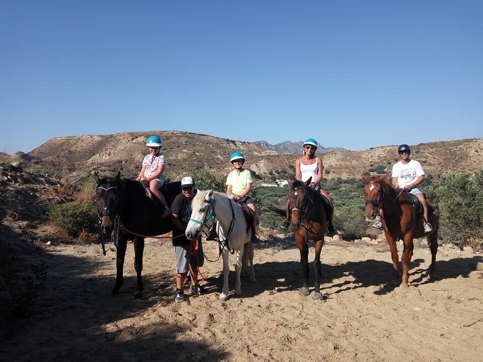 kardamenahorseriding home page image 3