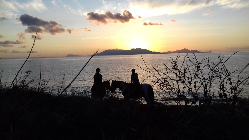 kardamenahorseriding home page image 7