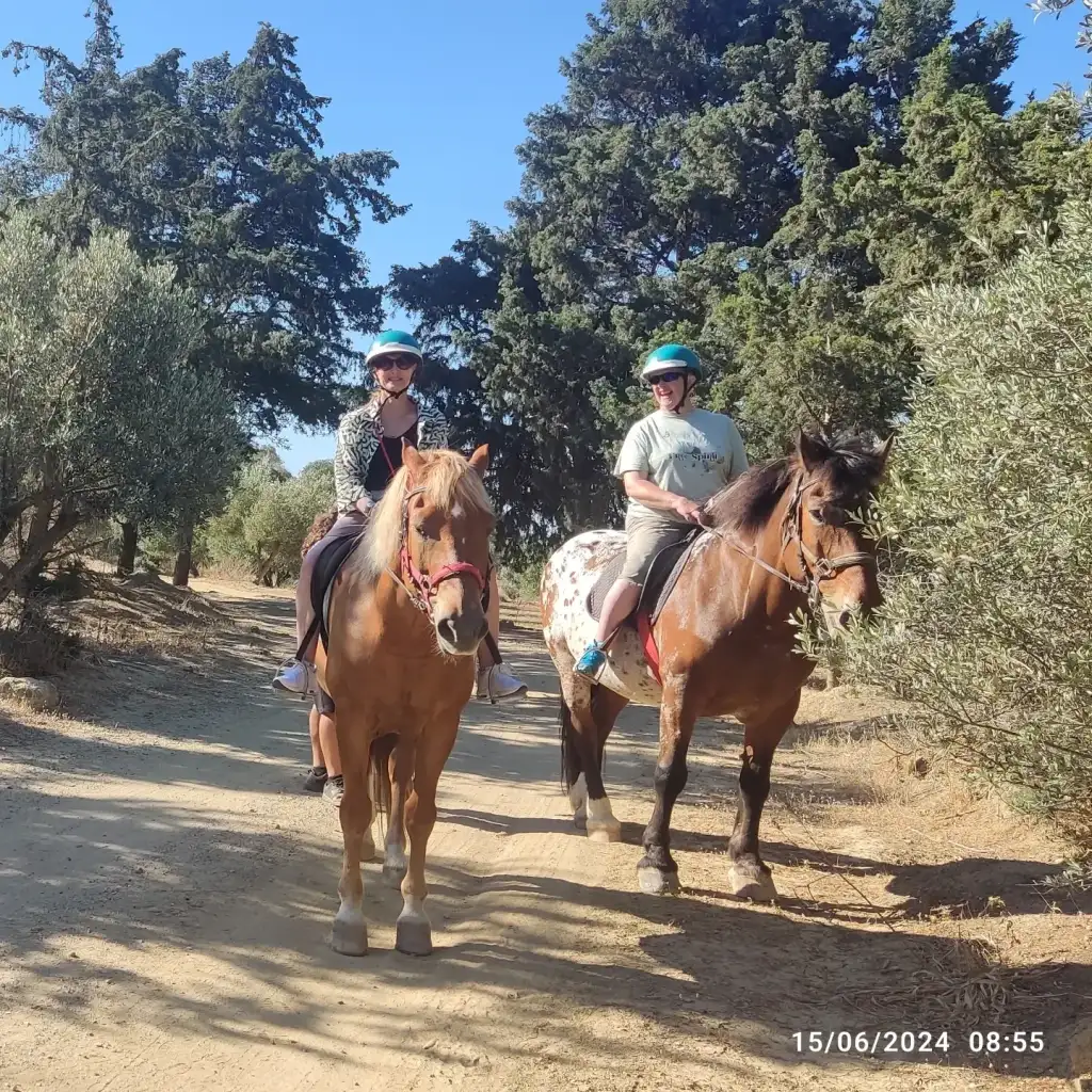 kardamenahorseriding one hour mountain ride image 1