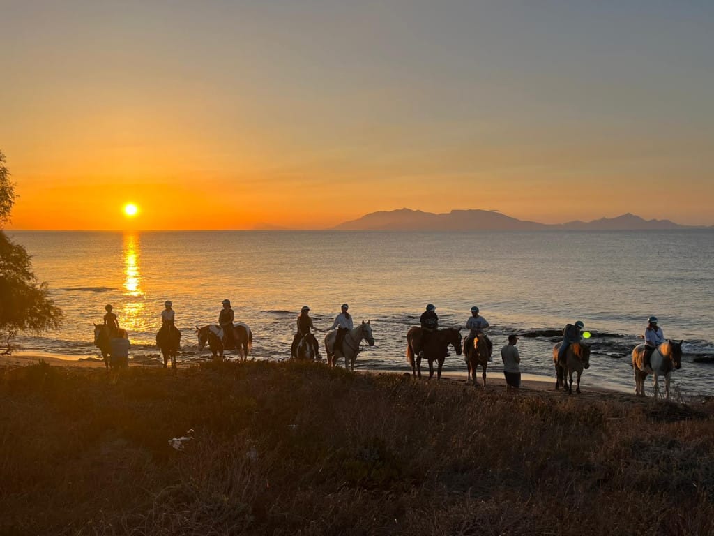 kardamenahorseriding sinrise beach ride image 8