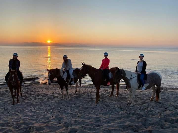kardamenahorseriding sunrise beach ride image 7