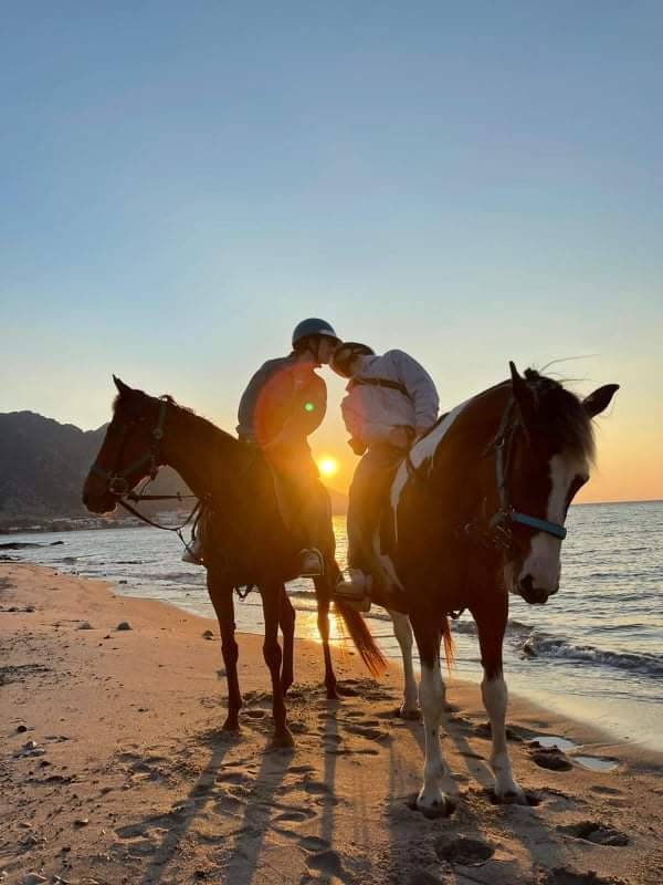 kardamenahorseriding sunrise beach ride romatic ride image 2