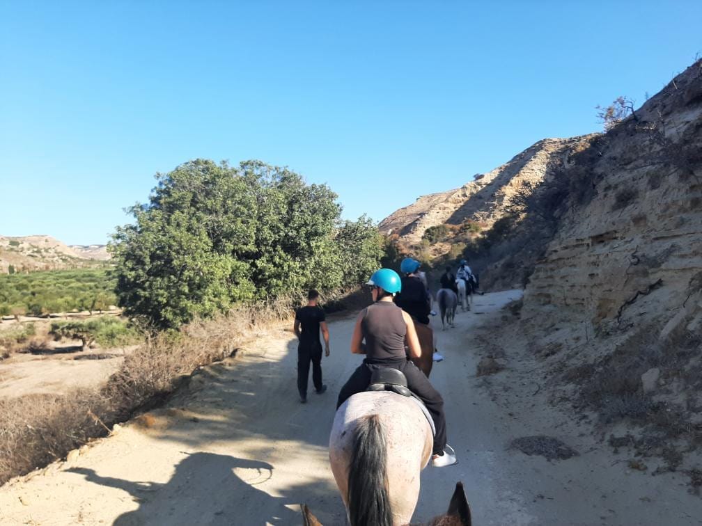 kardamenahorseriding views image 2