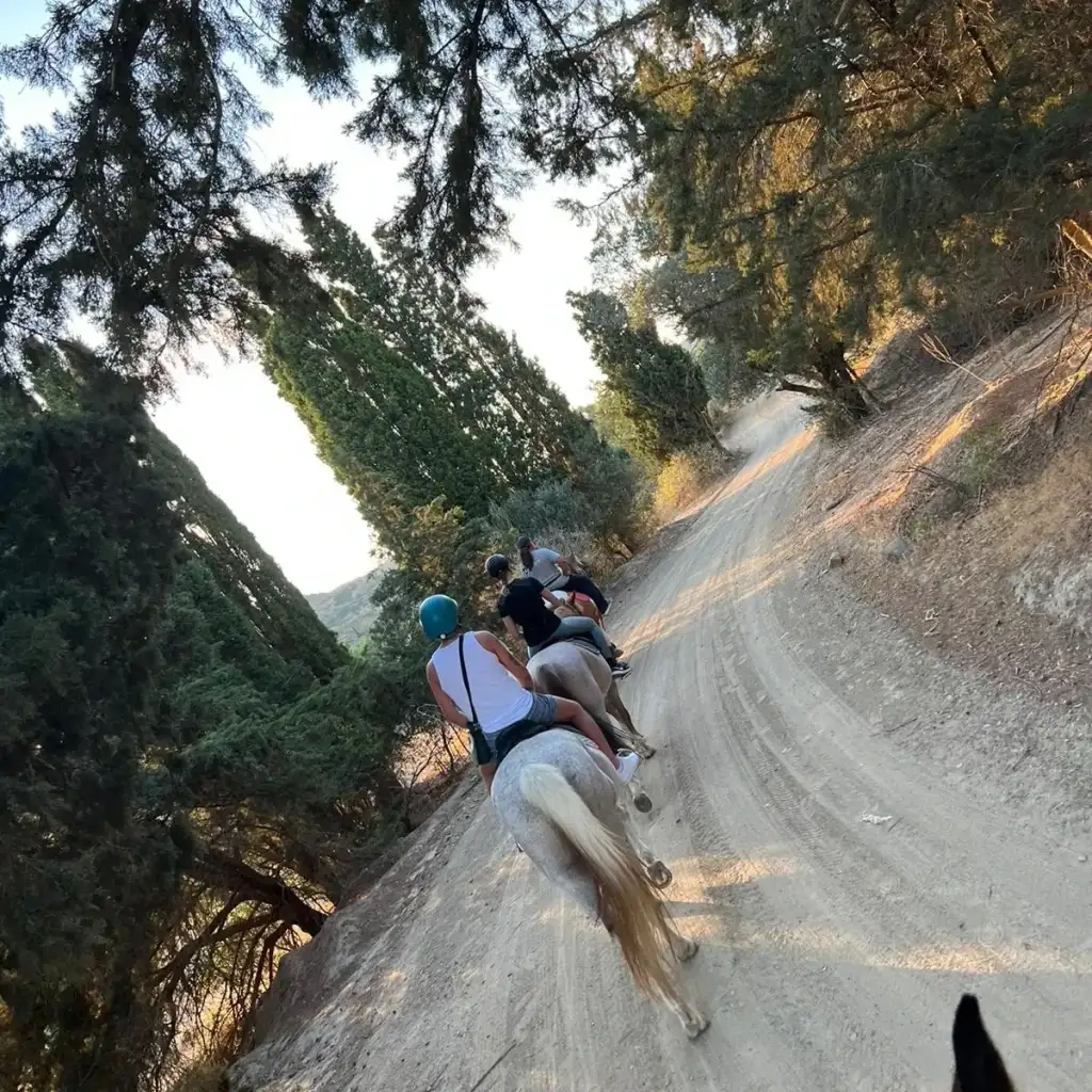 kardamenahorseriding views image 5