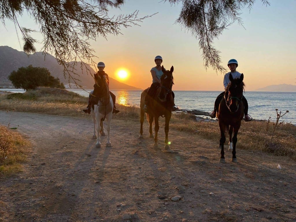 kardamenahorseridingkos sunrise beach ride family image 3