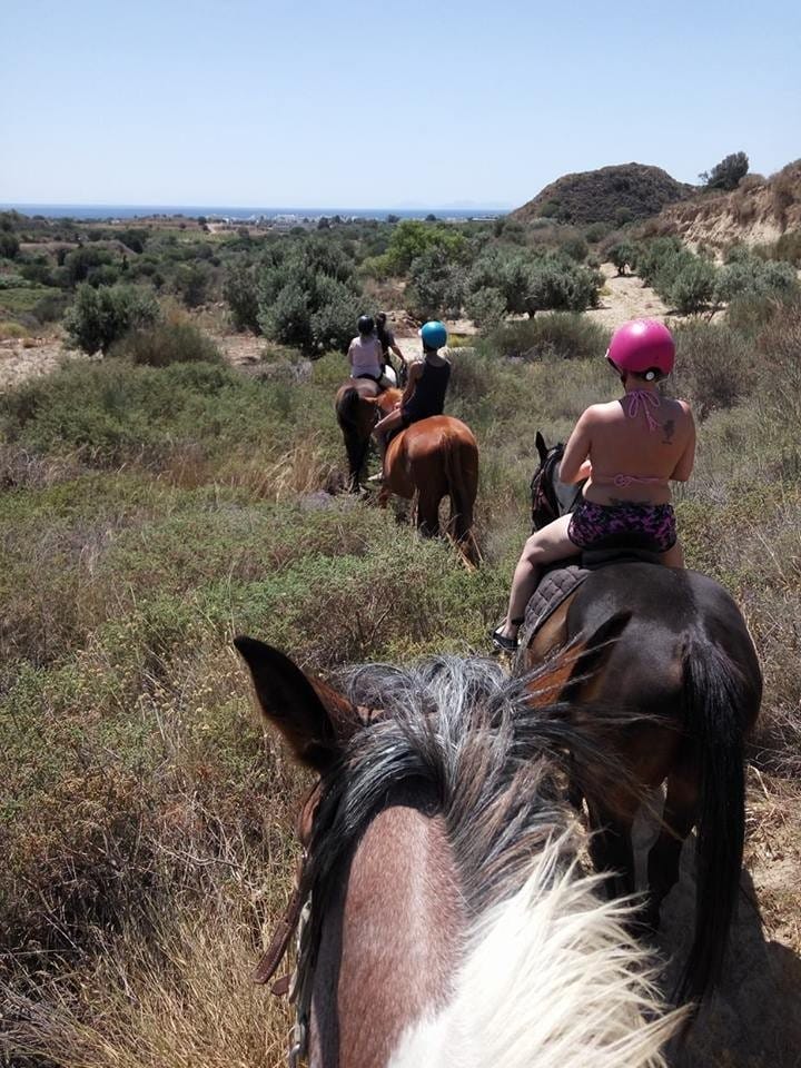 kardamenahorseriningcenter one hour mountain ride imae 6