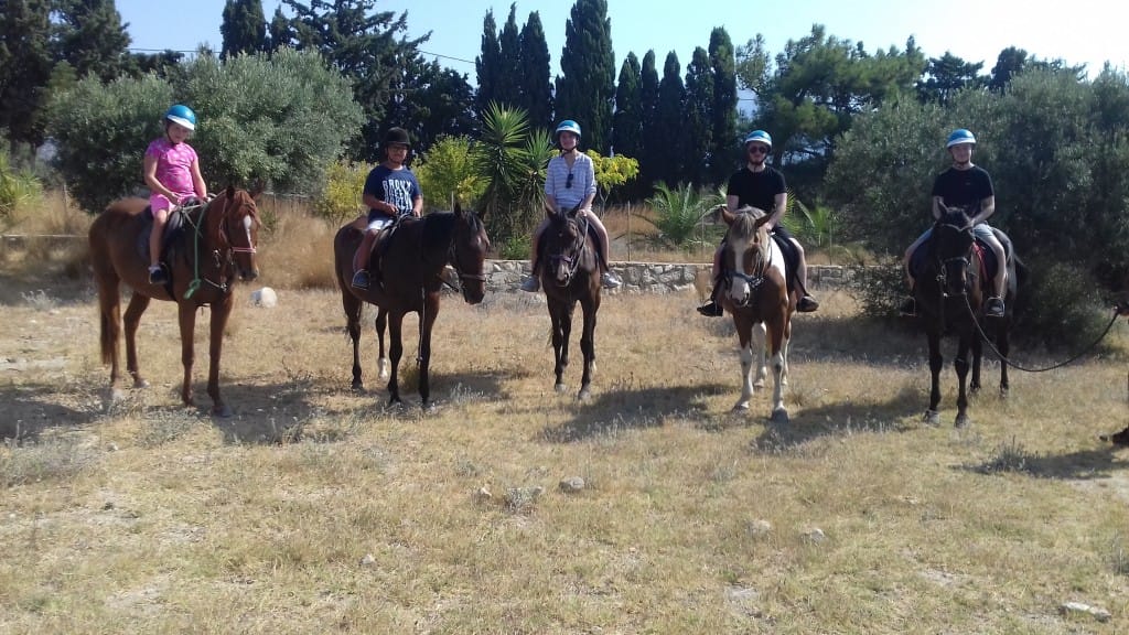 kardamenakoshorseriding home page image 9