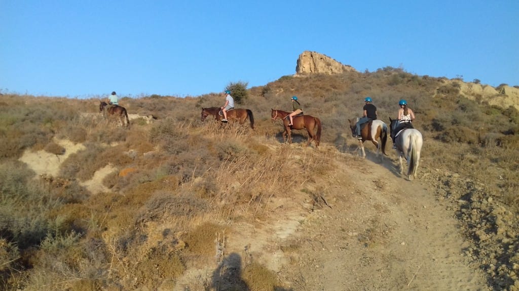 kardamenakoshorseriding home pge image 10
