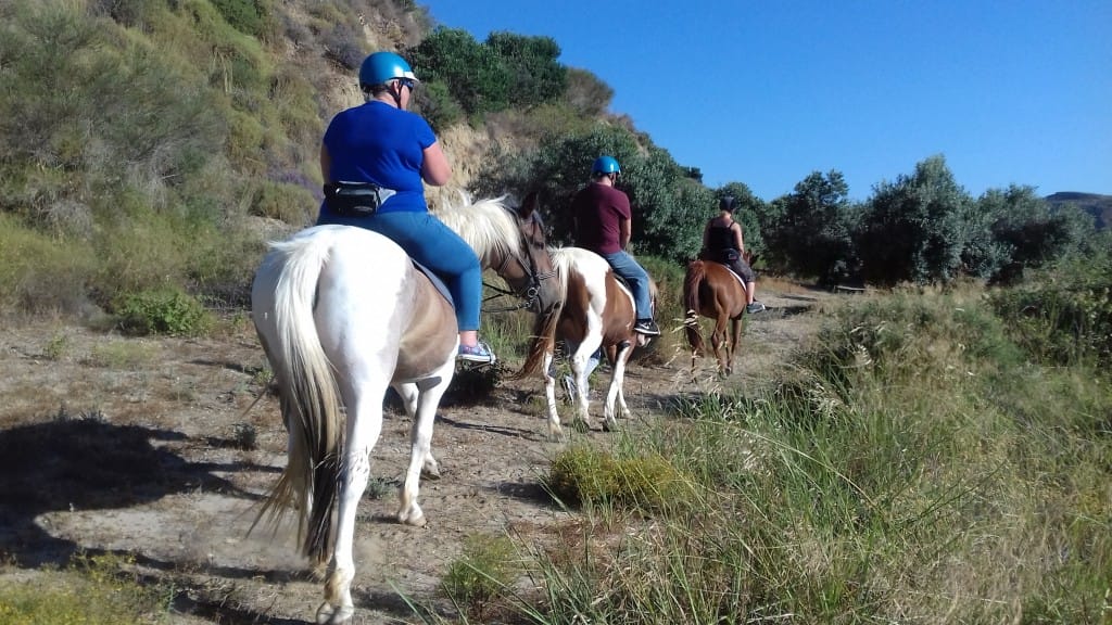 kardamenakoshorseriding one hour mountain ride image 4